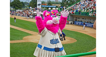 St Paul Saints Spotlight Game